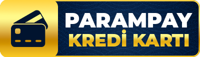 ParamPayCard